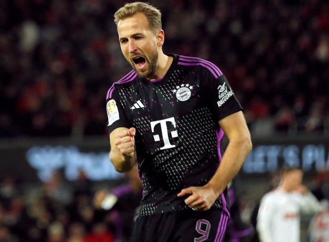 这对新西兰 这对新西兰