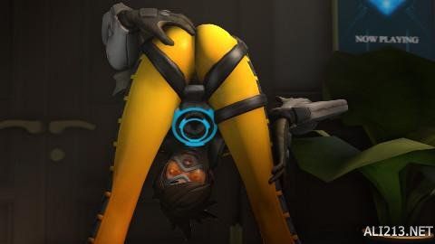 阶段获得点 阶段获得点